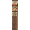 Ashton San Cristobal Revelation Robusto